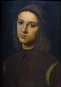 一个年轻人的肖像，1495年